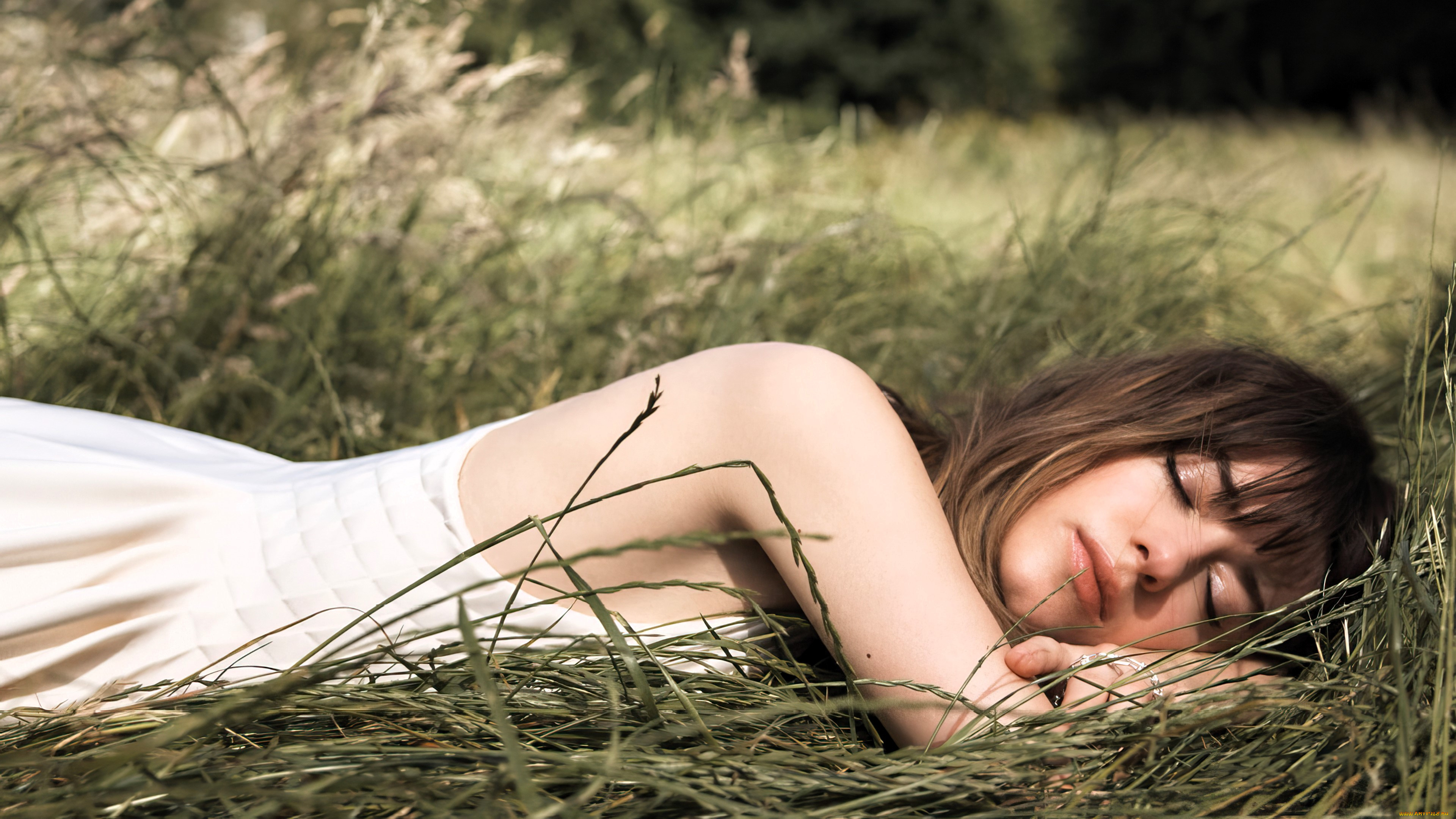 �������, daisy edgar jones, �������, ������, �����, ���